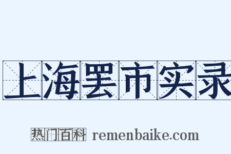 上海罢市实录是什么意思的图片
